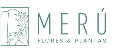 Merú: Flores y Plantas