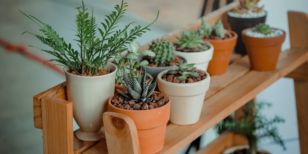 tendencias 2023 en jardinería